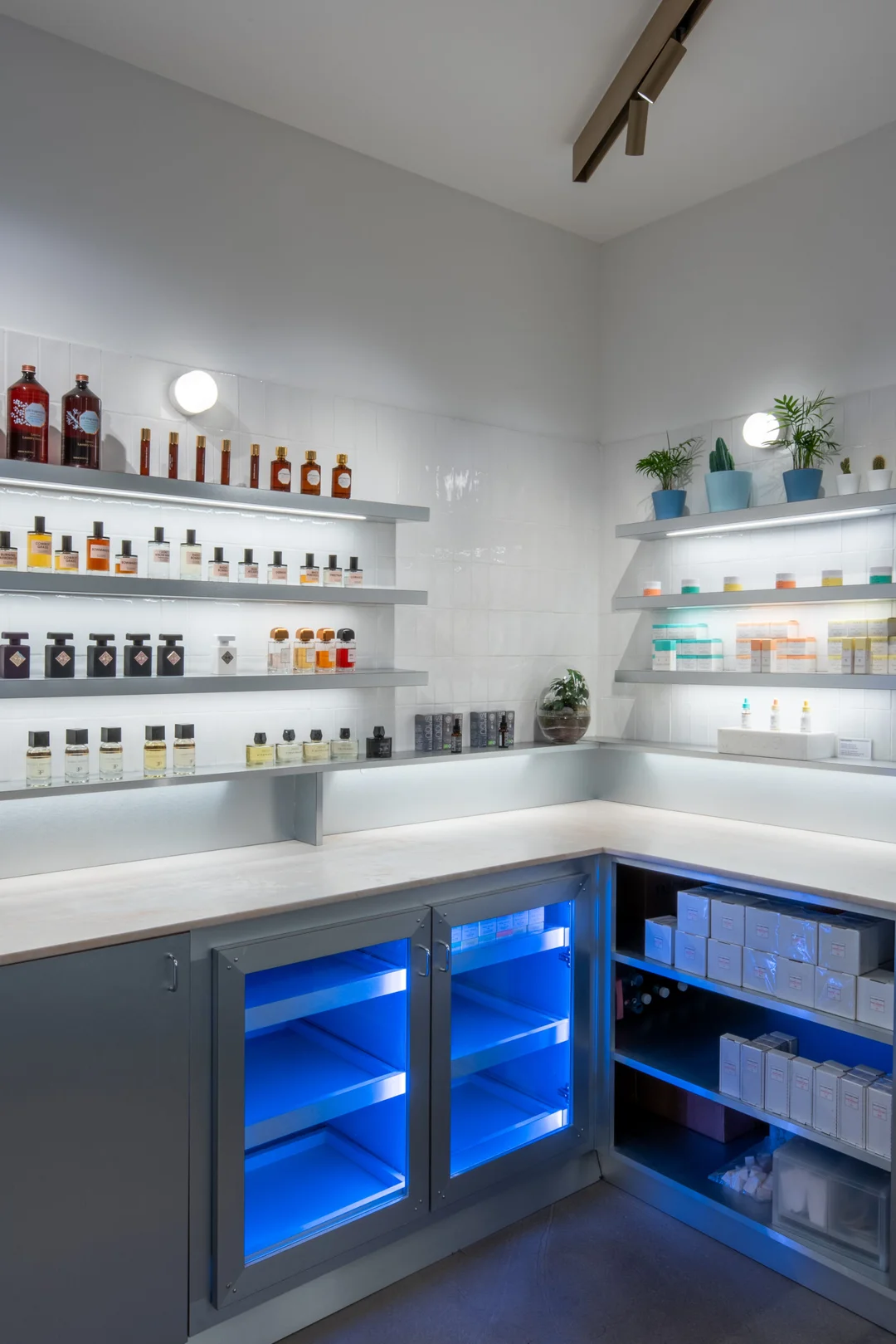 Concept Store Nous — vue 3