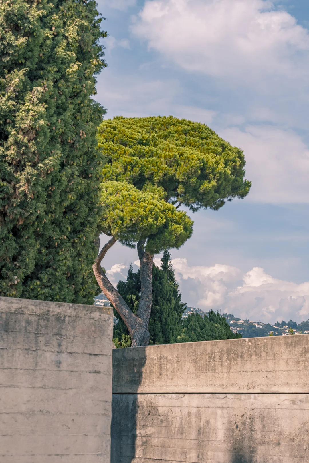 Villa Arson — view 2