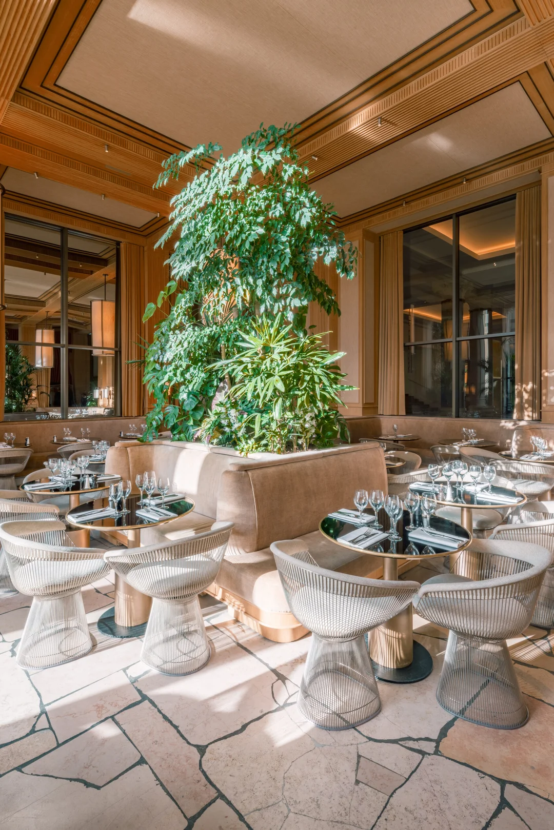Restaurant Girafe à Paris — vue 12