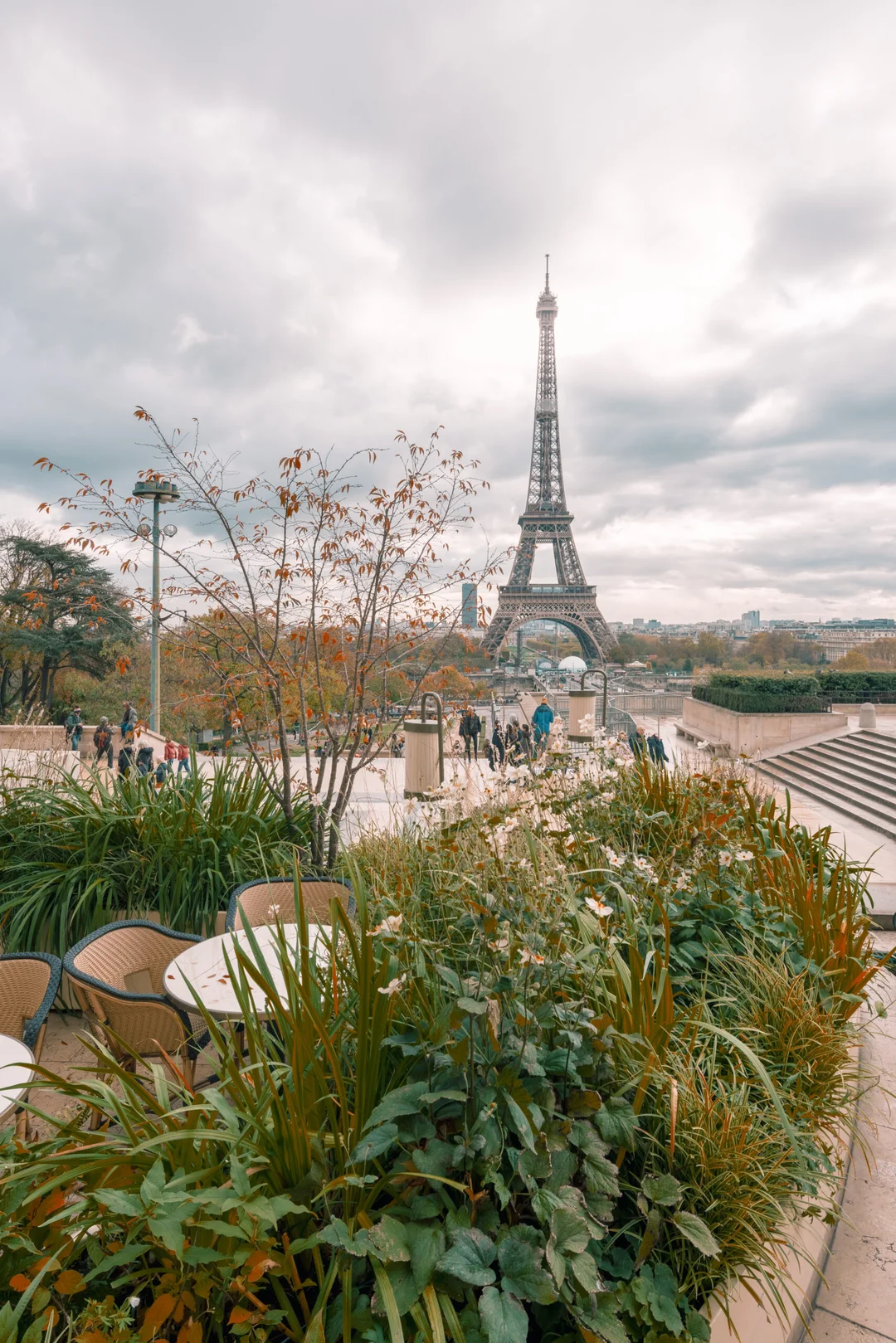 Restaurant Girafe à Paris — vue 6