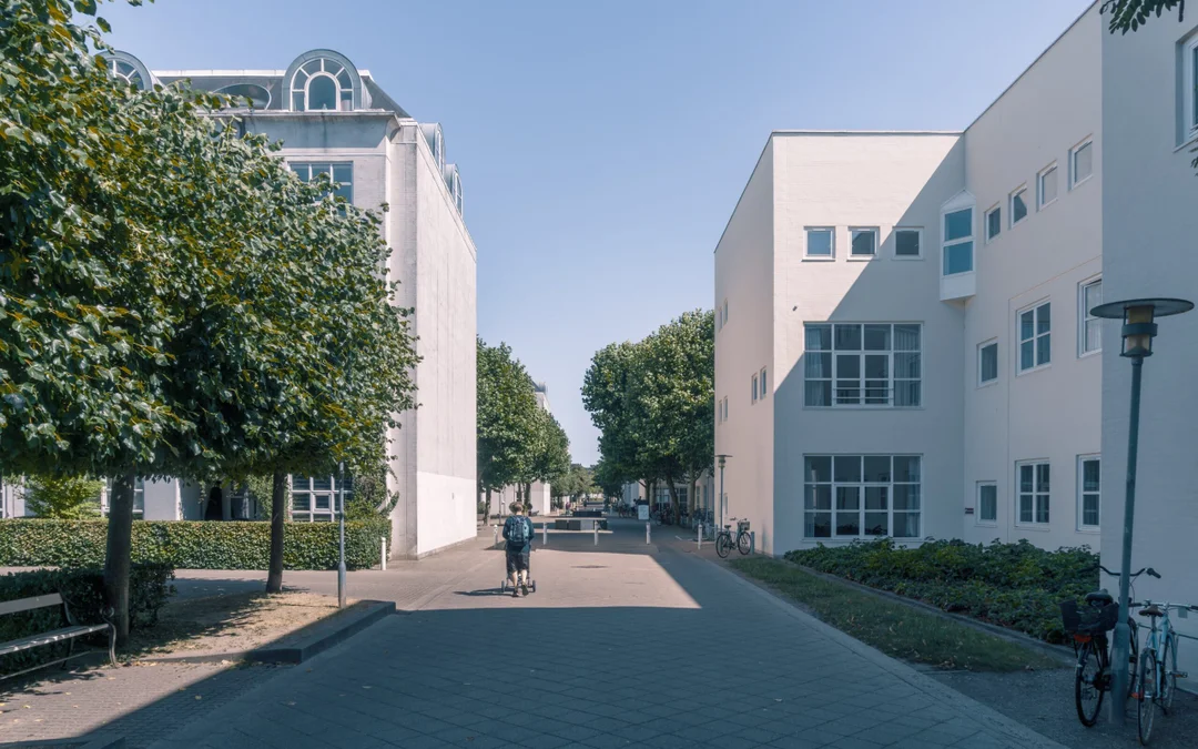Case Study: A Major Collaboration with Henning Larsen Architects — vue 17