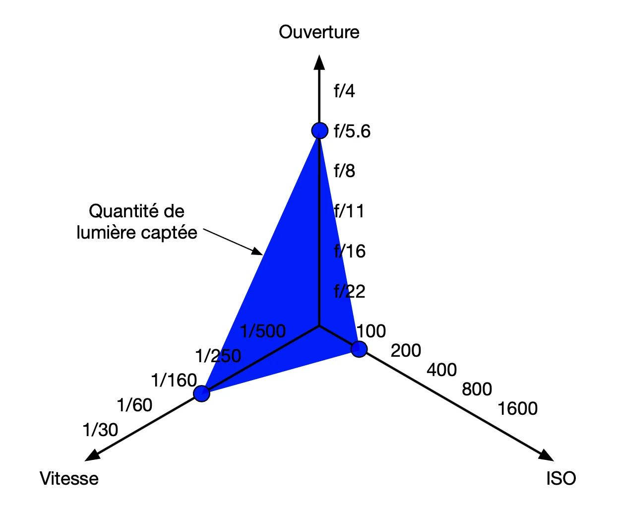 L’Art de la Photographie : Le Triangle Photographique — photographie 1