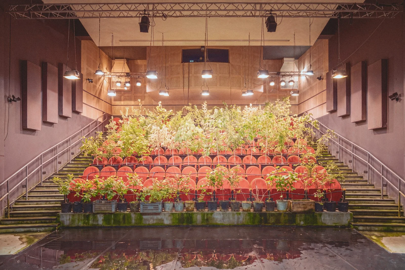 Une salle de spectacle transformée en pépinière : de jeunes arbres en pots occupent chaque marche du gradin sous des lampes horticoles, le plateau inondé au premier plan.